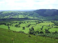 Clatter - look no trees!