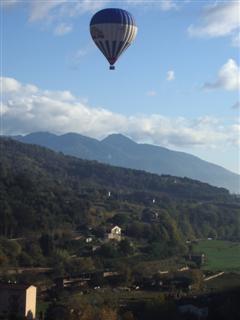 Balloon floating past the window.