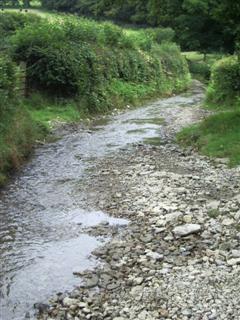 Flooded path on the Wenlock Edge walk.