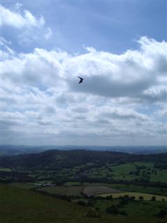 Geoff flying on Clatter.