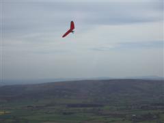 Wayno flying at Bache