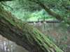 imgp4682small_small.jpg