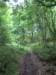 imgp4686small_small.jpg