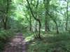 imgp4687small_small.jpg