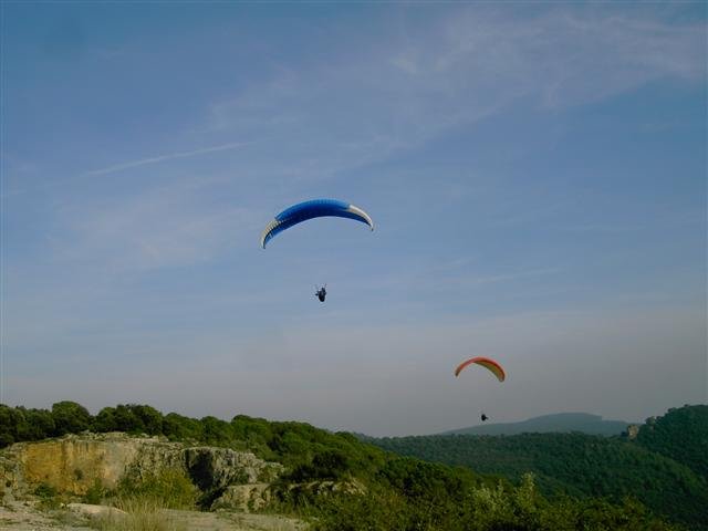 stabrigida023small.jpg