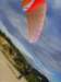 ssl24573small_small.jpg