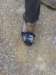 ssl24579small_small.jpg