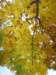 ssl24589small_small.jpg