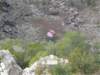 p1080094small_small.jpg