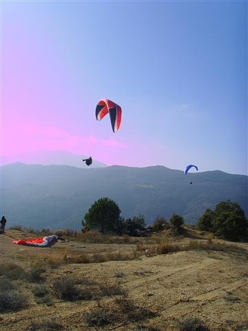 photo8.jpg