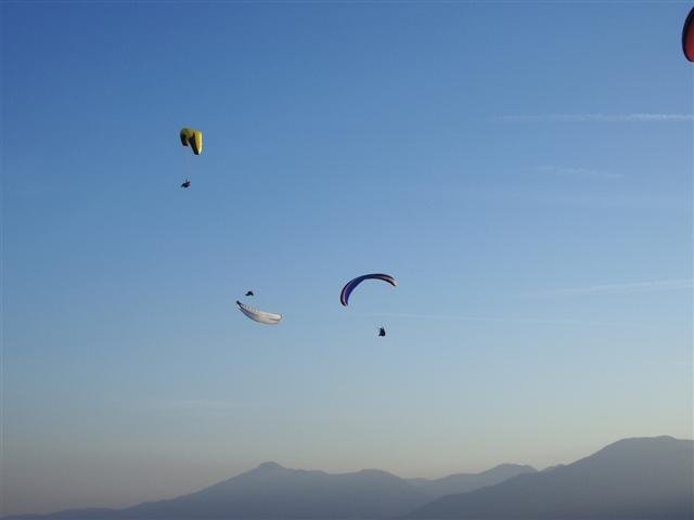 imgp1714small.jpg