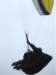 imgp7155small_small.jpg