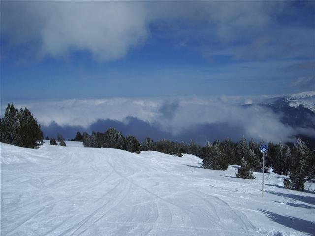 imgp8660small.jpg