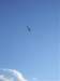 imgp4526small_small.jpg