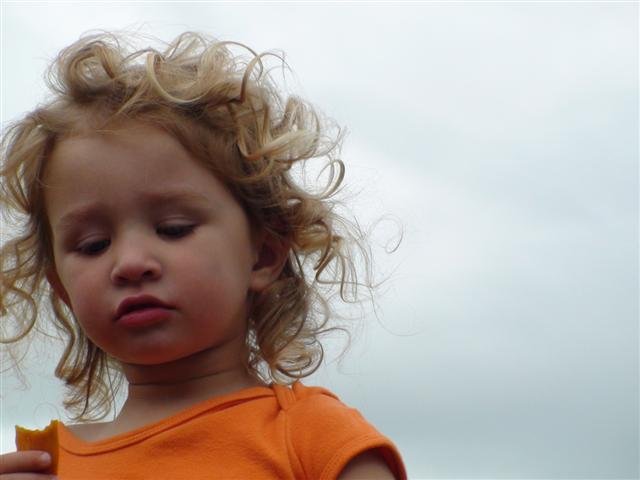 dsc05420small.jpg