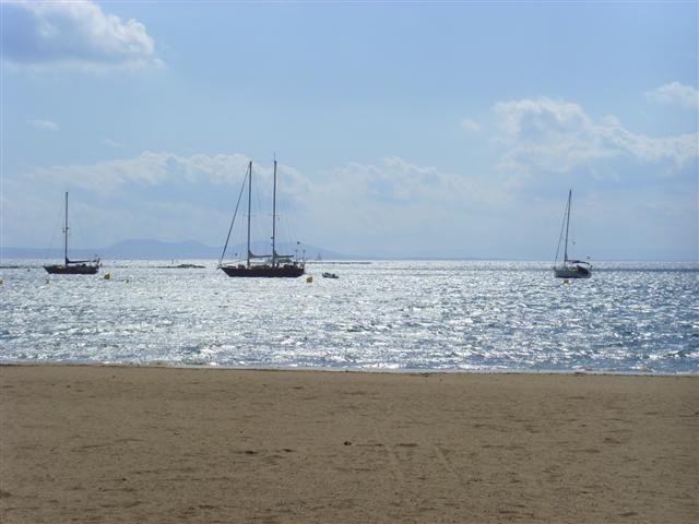 ssl23277small.jpg