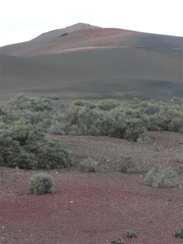p1070266small.jpg