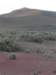 p1070266small_small.jpg
