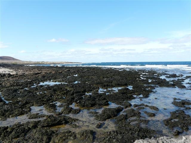 p1070315small.jpg