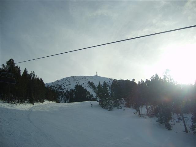 s6005291small.jpg