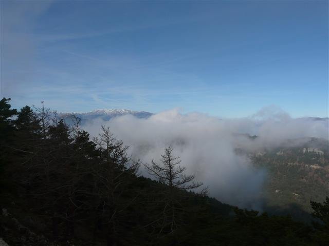 p1080096small.jpg