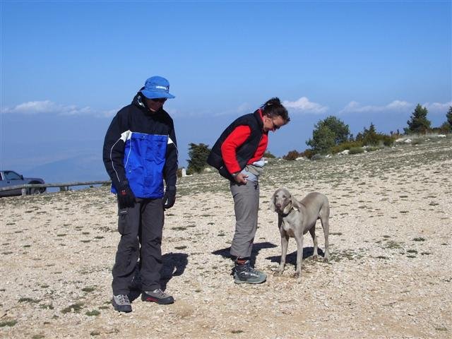 imgp2151small.jpg