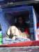 imgp2153small_small.jpg