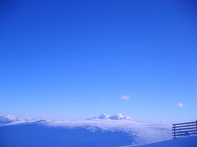 s6005322small.jpg