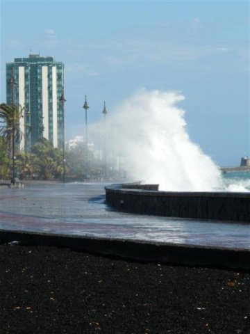 p1070625small.jpg