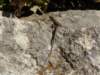 p1080748small_small.jpg