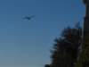 p1080758small_small.jpg