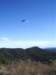 imgp8669small_small.jpg