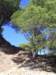 imgp5495small_small.jpg