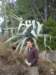 s6005373small_small.jpg