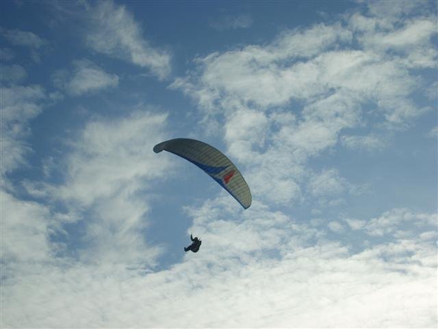 s6005446small.jpg