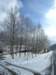 imgp7253small_small.jpg