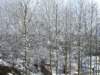 imgp7255small_small.jpg