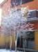 imgp7267small_small.jpg