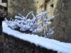 imgp7272small_small.jpg