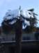 imgp7275small_small.jpg