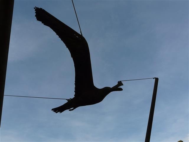p1080216small.jpg