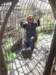 imgp7890small_small.jpg