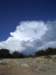 imgp7916small_small.jpg
