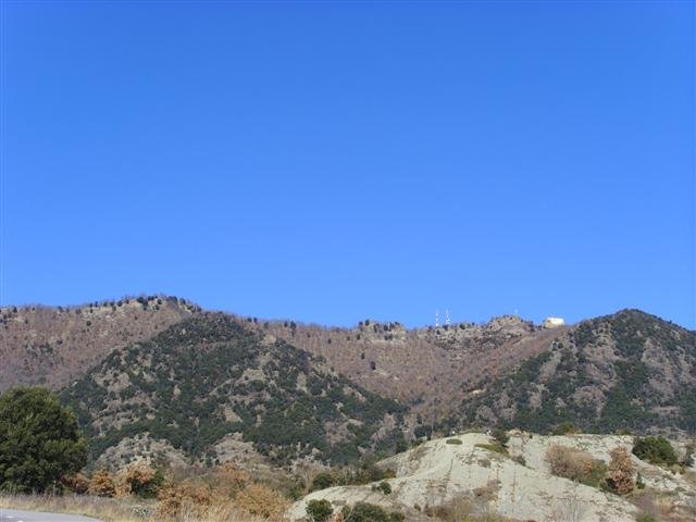 ssl26478small.jpg