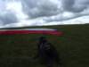 imgp4704small_small.jpg