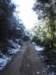 imgp7278small_small.jpg
