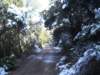 imgp7279small_small.jpg