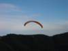 dscn0312small_small.jpg
