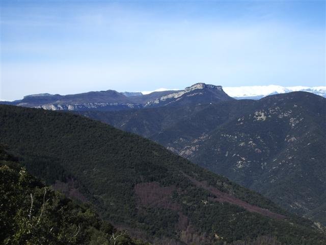 imgp7922small.jpg