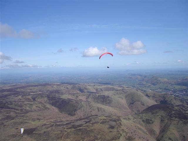dsc06446small.jpg